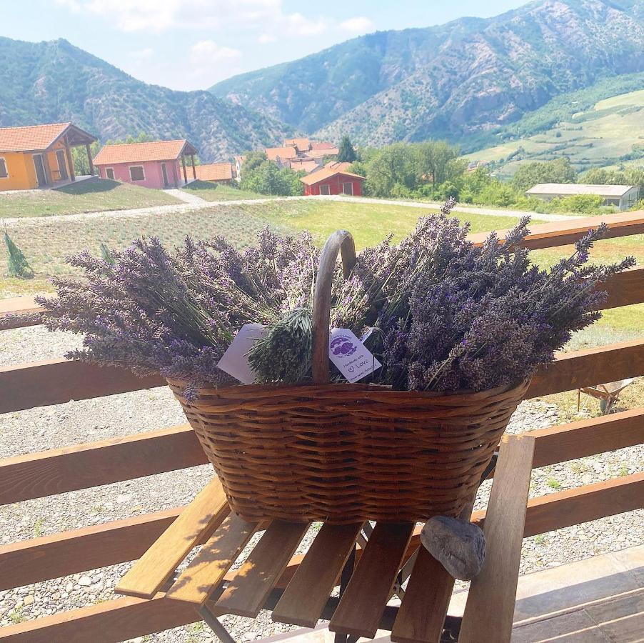 Azienda Agricola Saint Hubert Cantalupo Ligure エクステリア 写真