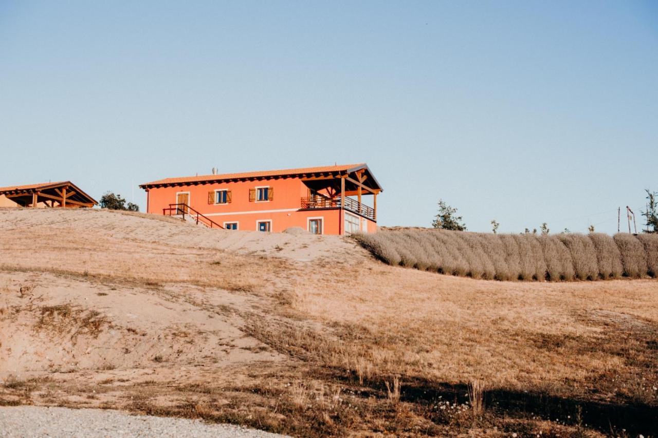 Azienda Agricola Saint Hubert Cantalupo Ligure エクステリア 写真