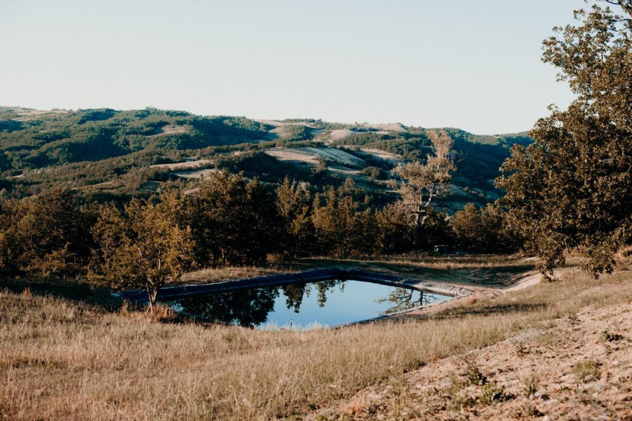 Azienda Agricola Saint Hubert Cantalupo Ligure エクステリア 写真
