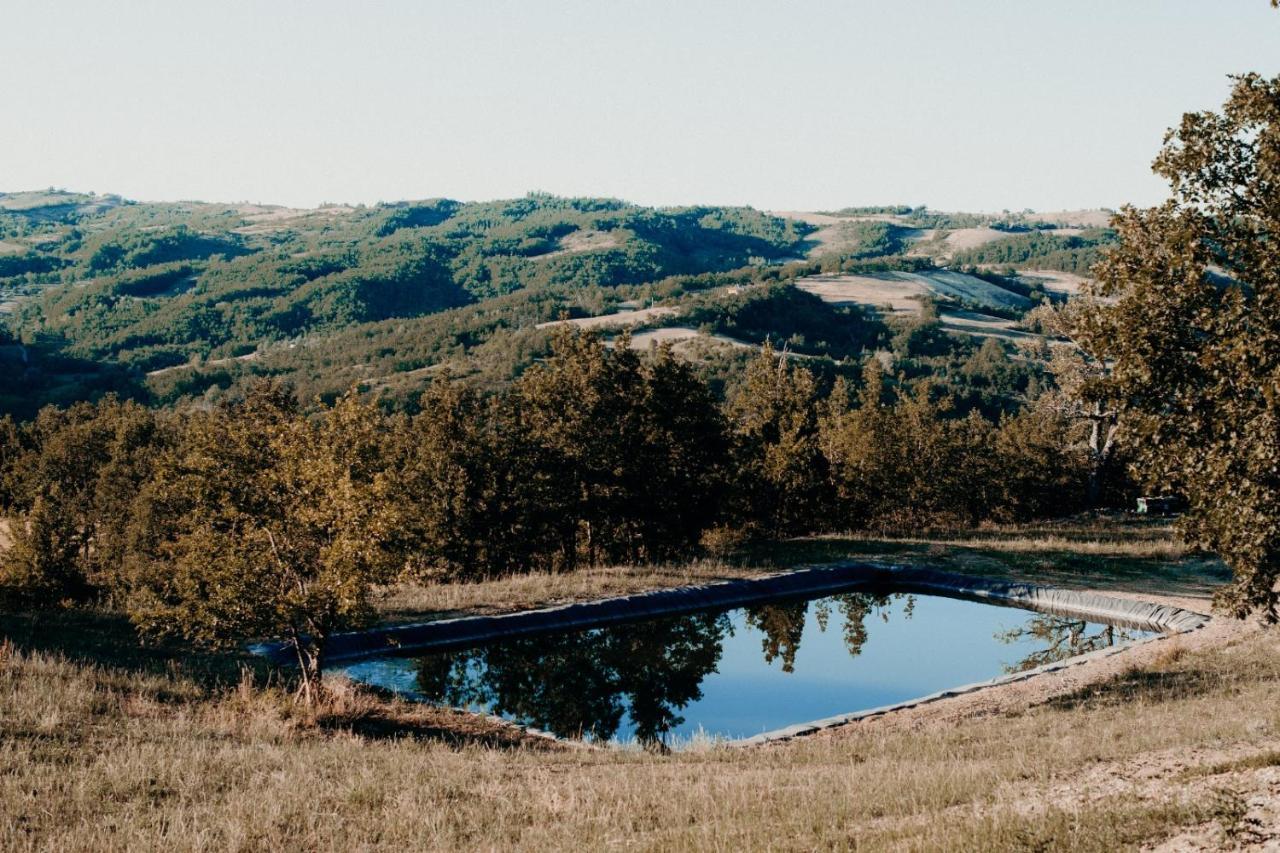 Azienda Agricola Saint Hubert Cantalupo Ligure エクステリア 写真